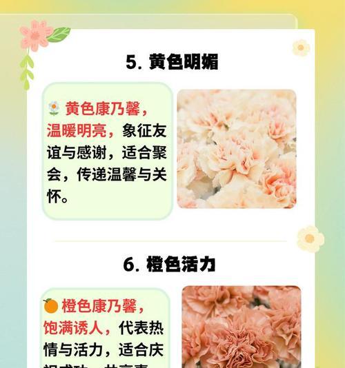 三支康乃馨什么意思？三支康乃馨的花语是什么？