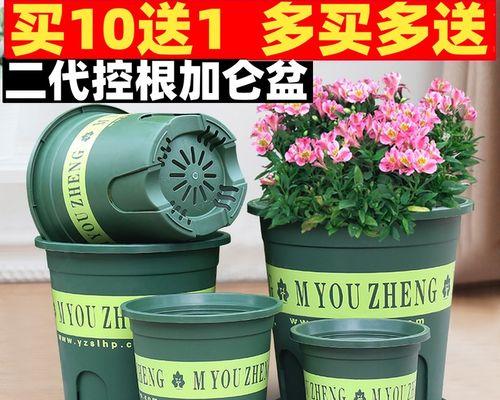 盆栽用加仑盆有什么好处？加仑盆的定义是什么？
