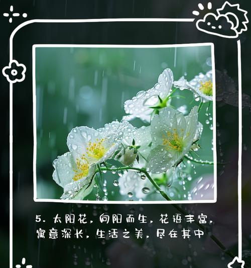 向日葵的花语有哪些？向日葵象征着什么？