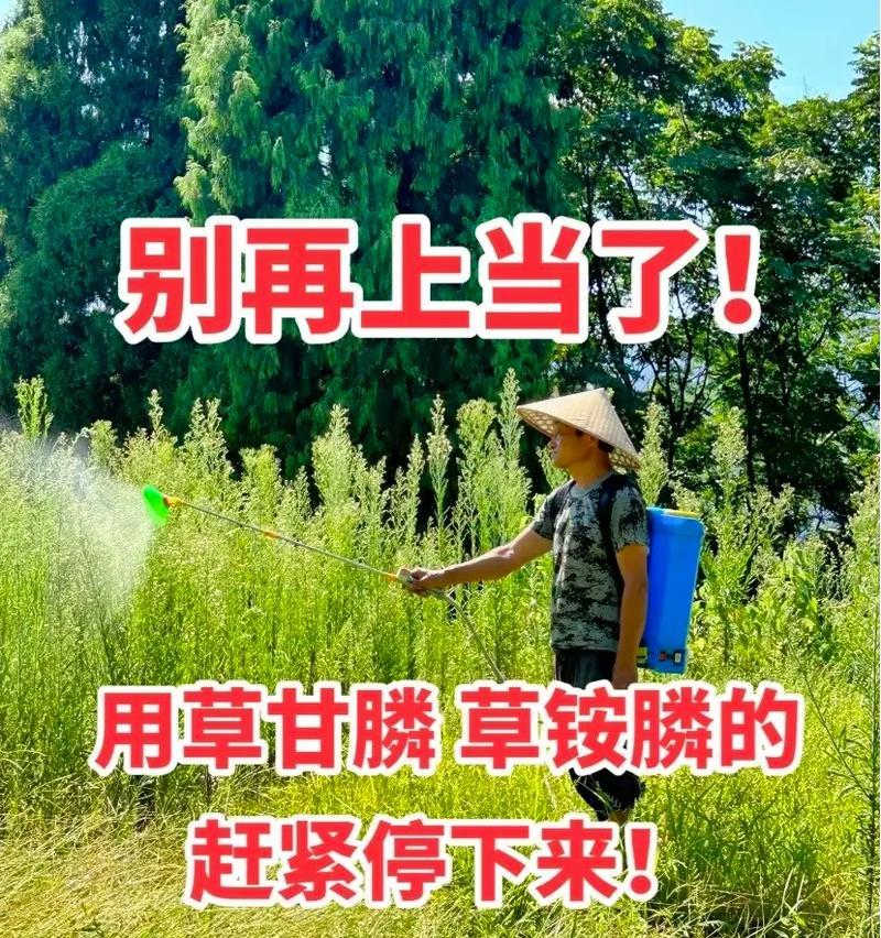 菜地植物生长剂有哪些？如何正确使用？