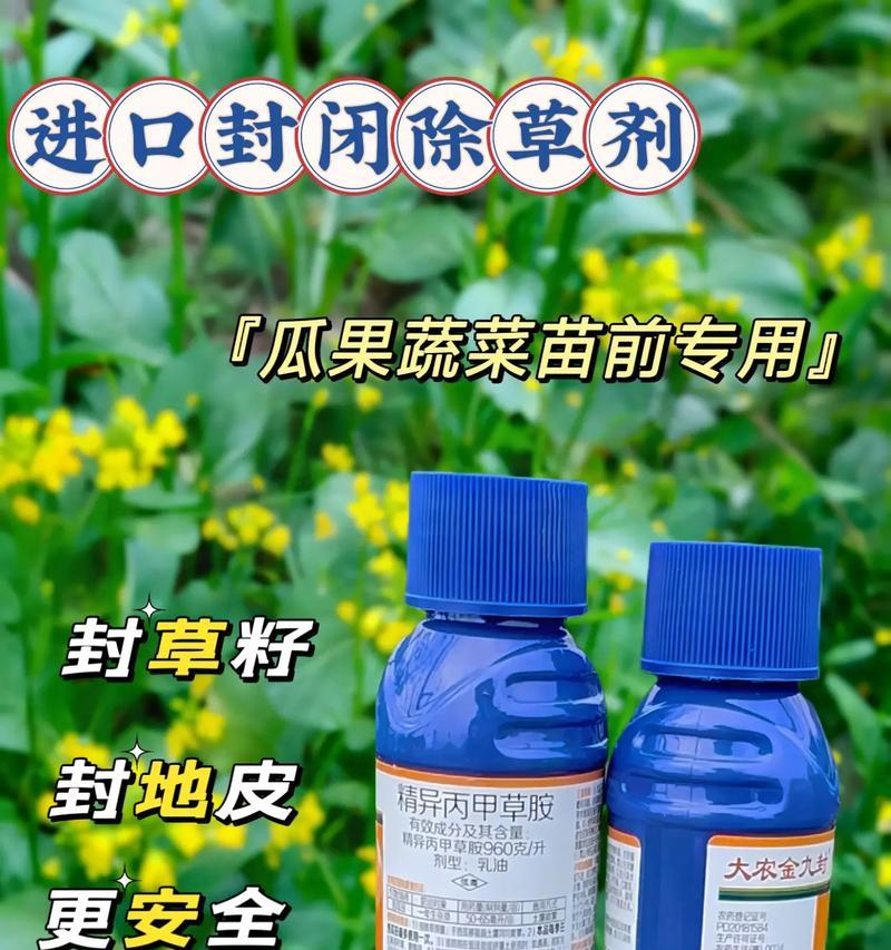 菜地植物生长剂有哪些？如何正确使用？