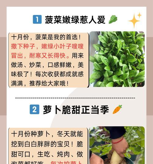 菜地植物生长剂有哪些？如何正确使用？