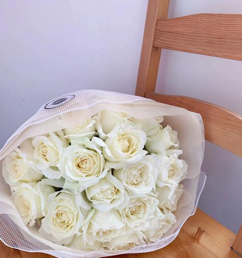 白色玫瑰花在照片中代表什么？拍照时使用白色玫瑰花的含义是什么？