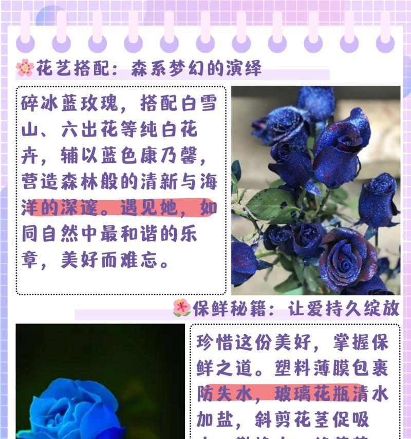 暗黑玫瑰花寓意什么？这种颜色的玫瑰花在花语中代表了什么？