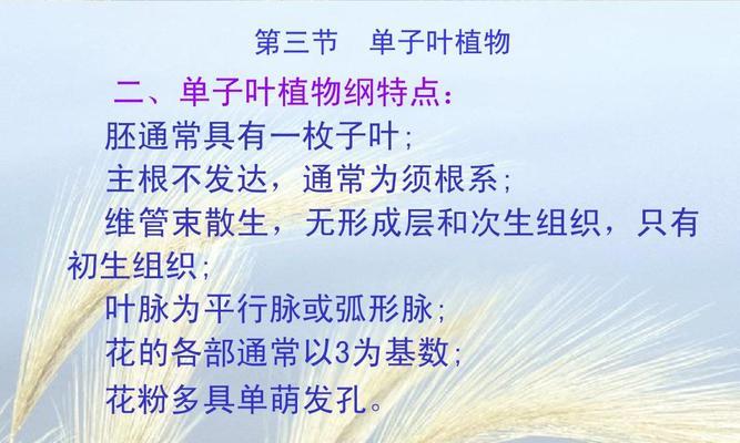 单子叶植物有哪些代表种类？它们的特点是什么？