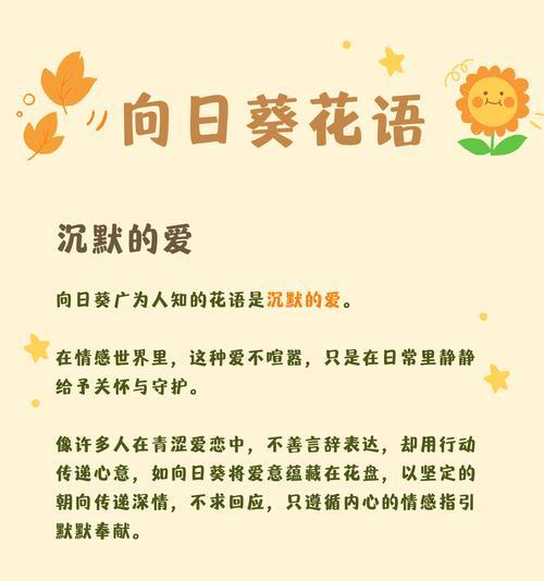 太阳花的花语具体是什么？它象征着什么？