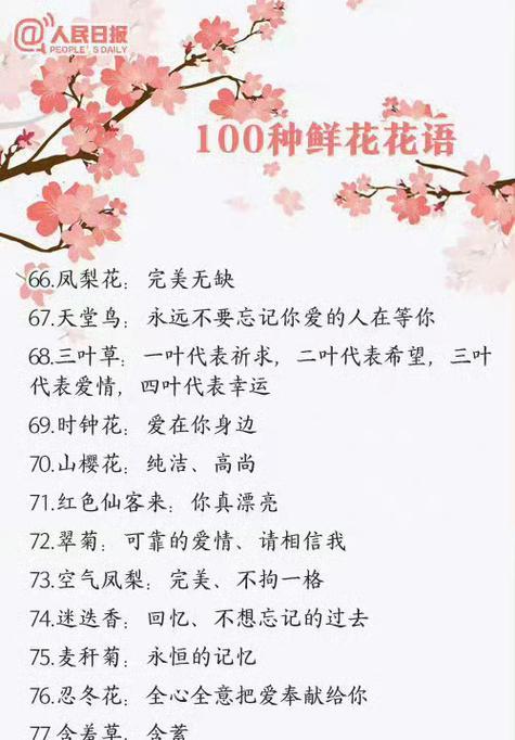 一朵粉色玫瑰的花语是什么？它通常用来表达什么情感？