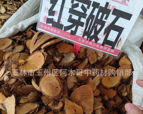 金风藤的特征和用途是什么？