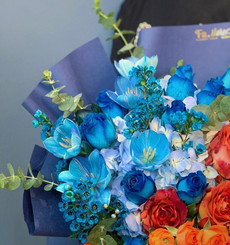 玫瑰花混搭蓝色橙色有何特别含义？