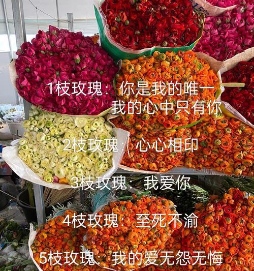 手拍玫瑰花代表了什么情感？