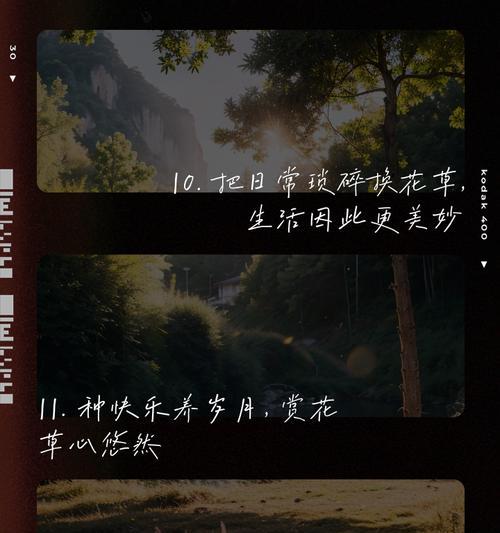 如何撰写遇见植物时的文案？