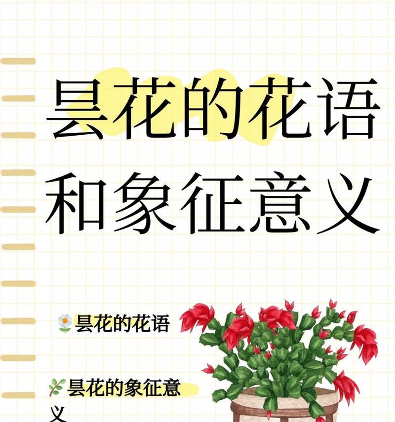 仙人掌的花语是什么？如何用仙人掌表达情感？