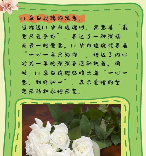 带色白玫瑰有何特殊花语？