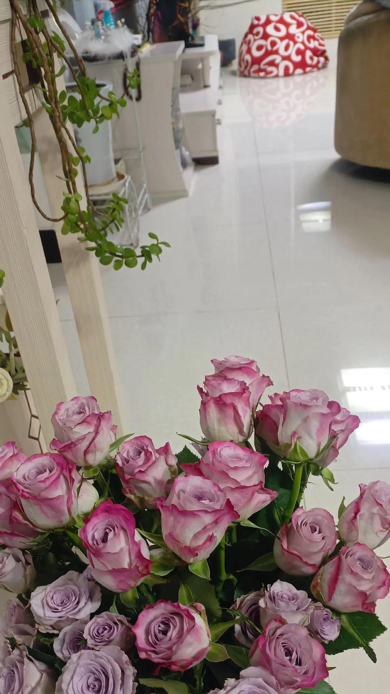24朵玫瑰花代表的特殊含义是什么？