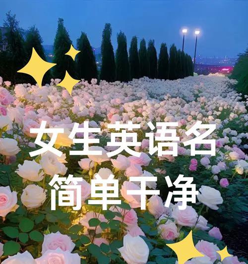 哪些花卉在英语中代表美丽？它们的英文名称是什么？