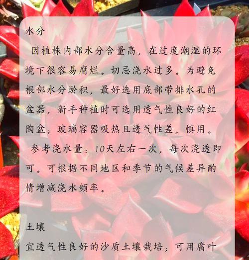 奇妙植物世界中隐藏了哪些秘密？