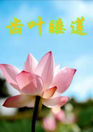 夜间开放的花卉品种有哪些？如何选择夜间开花的植物？