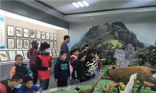 动物植物共生对植物有哪些益处？共生关系如何维持？
