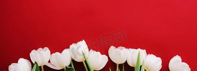 白色、粉色、红色的美丽花卉有哪些推荐？
