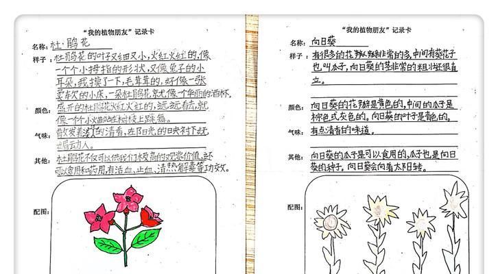植物名片的别名和特点怎么写？植物名片的常见问题有哪些？