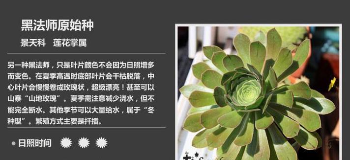 植物原始种的定义及其重要性是什么？