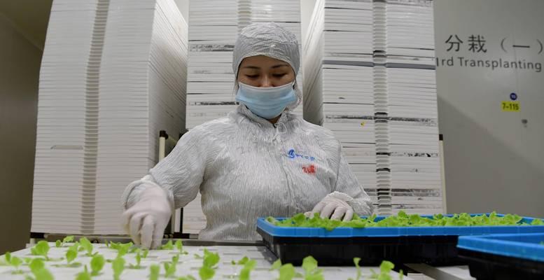 植物生产类的市场前景和就业方向如何？