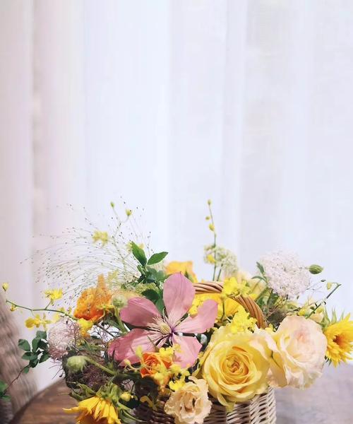 最自信的玫瑰花语是什么？大波斯菊的花语又是什么？