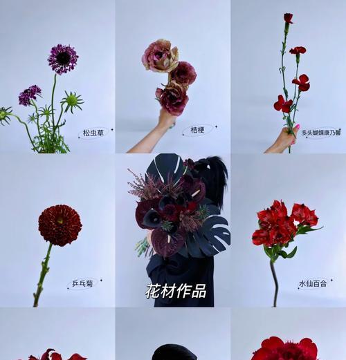 哪种花代表挽留和不舍？挽留花语的含义是什么？
