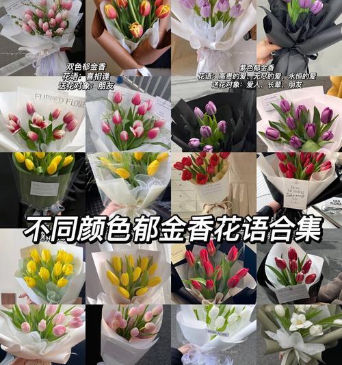 十六号生日对应的花语是什么？