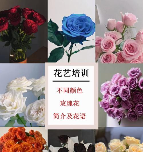自由变换玫瑰花的花语是什么？变换玫瑰花束的含义是什么？