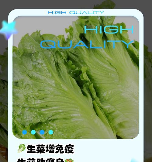生菜的花语和寓意是什么？
