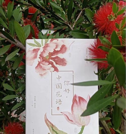 紫穗槐的寓意是什么？它的花语有哪些？