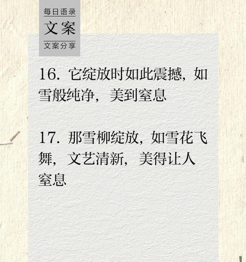 雪柳干枝枯木逢春花语是什么？雪柳的花语寓意是什么？