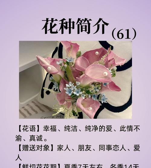 爱意深藏的花语是什么？如何用花语表达深藏的爱？
