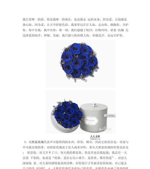 蓝玫瑰精灵的花语代表什么含义？