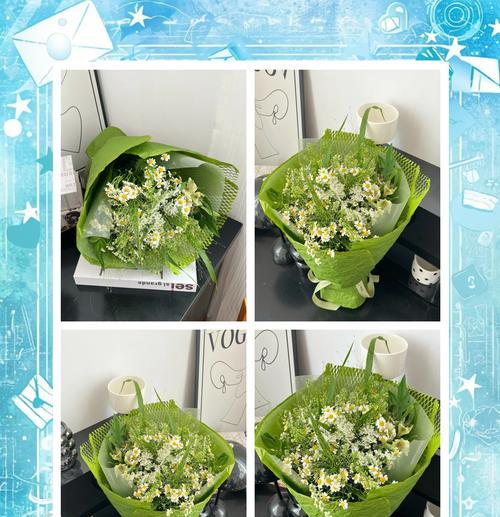 洋甘菊花语有哪些寓意？