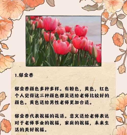 十五朵花的花语是什么？哪种花代表十五的含义？