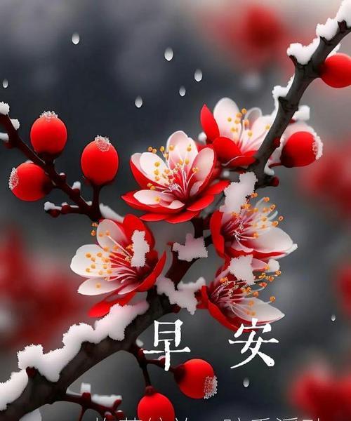 凛然盛放的花语代表什么含义？