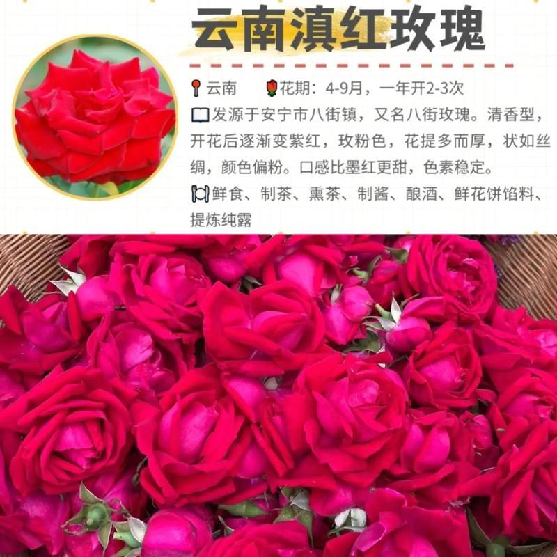 玫瑰花烧毁象征着什么？