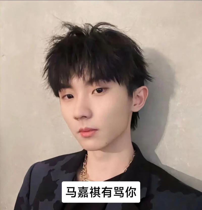 马嘉祺适合哪种玫瑰花语？