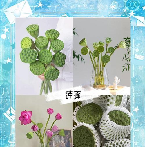 莲蓬的寓意与花语相同吗？原因是什么？