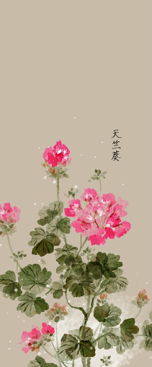 描述兔子的花语有何特别含义？