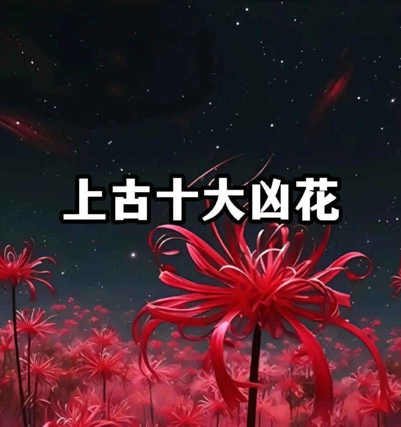 玉梅花开的花语和寓意是什么？