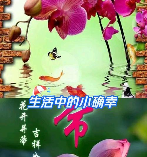 最美兰花的花语是什么呢？兰花的花语有哪些独特之处？