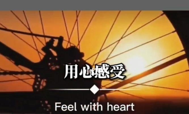 花语无声如何用心感受？含义是什么？