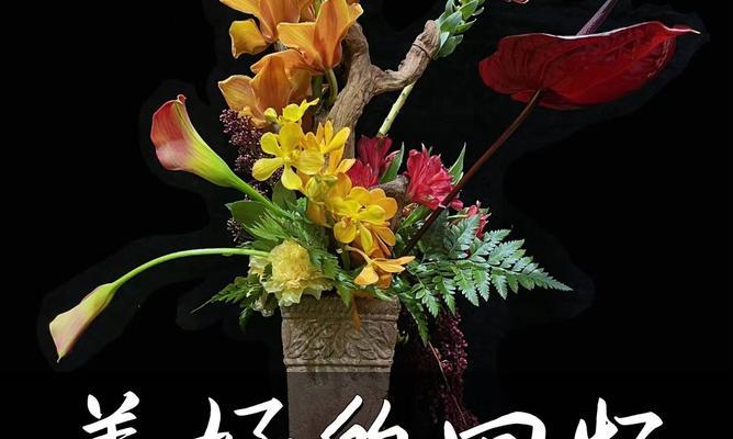 送男人的花语代表了什么？