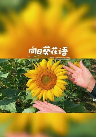 勇敢自由的花语是什么？哪种花象征着勇气和自由？