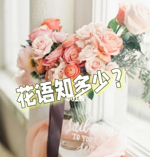 菩萨与玫瑰花语有何联系？