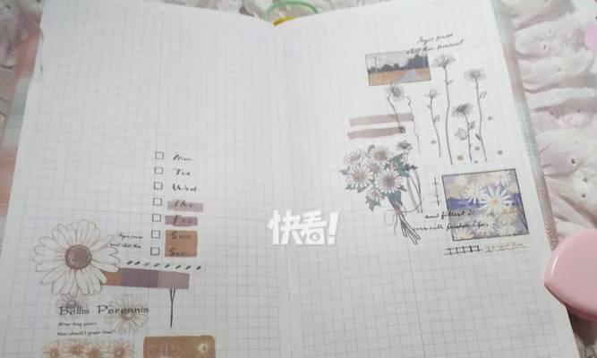 黑白雏菊代表什么？花语有哪些含义？