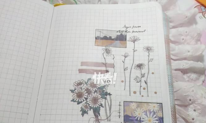 黑白雏菊代表什么？花语有哪些含义？